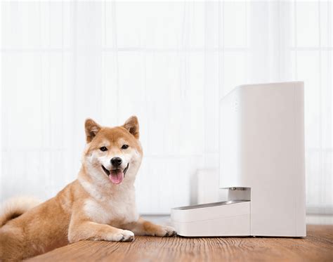 Xiaomi Smart Pet Food Feeder - Xiaomi Global