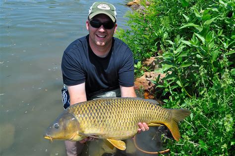 Colorado Fly Fishing Magazine: Giant Carp Out Of A Local Lake Landed 6-25-2011!