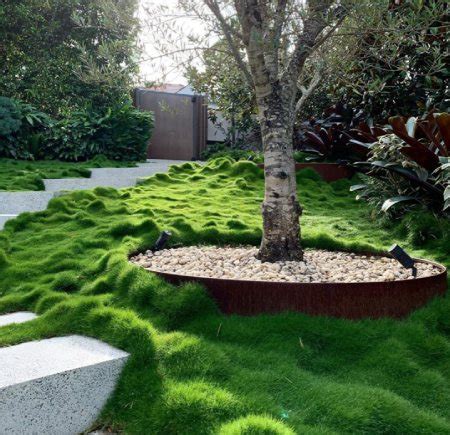 Transforming Small Backyards: Low-Maintenance Lawn Alternatives and Ground Cover Options