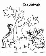 40 Zoo Coloring Pages  ColoringPagesOnlycom sketch template