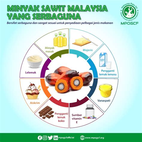 Minyak sawit Malaysia yang serbaguna – MPOGCF