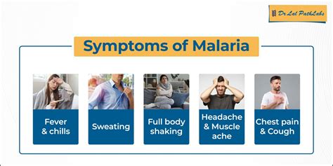 Symptoms of Malaria - Dr Lal PathLabs Blog