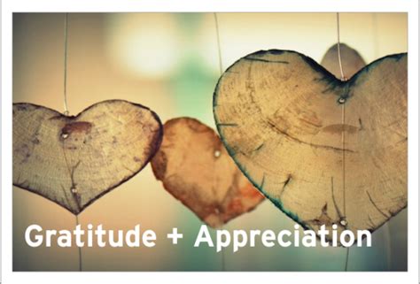 Gratitude and Appreciation: Connected yet different - Lisa Borden