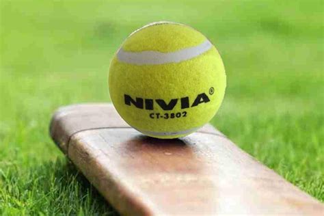 Junior National Tennisball Cricket from October 2 | Nagpur Sports News