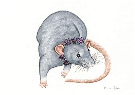 Dumbo Rat Watercolour by wolfysilver on DeviantArt