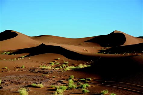 6,000 years ago the Sahara Desert was green, so what happened?