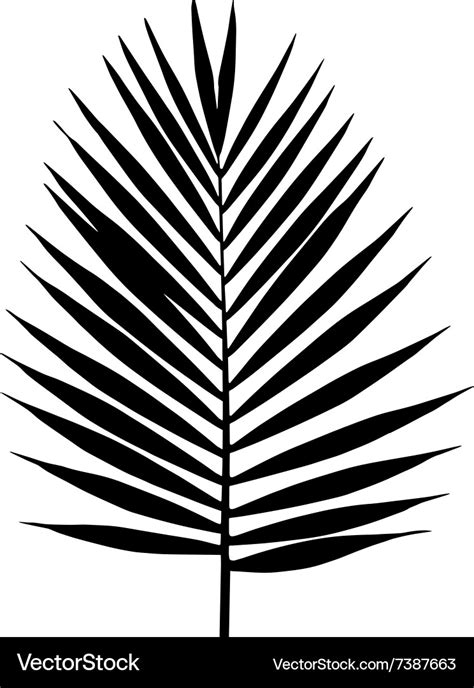 Palm leaf silhouette tropical leaves Royalty Free Vector