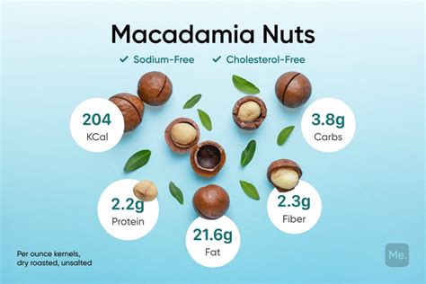 Macadamia Nuts Facts, Calories, Health Benefits And Side Effects - BetterMe