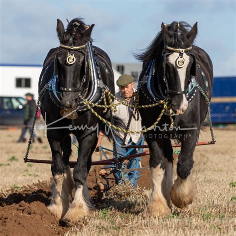 2022 National Ploughing Championship (Saturday) - Kenny Wharton