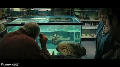 Piranha 3D Trailer – Funny Or Die