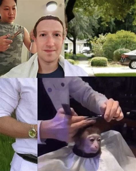 Zuckerberg haircut | Monkey Haircut | Memes, Funny memes, Know your meme