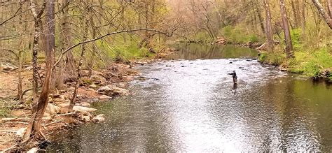 Wissahickon Creek in Philly : r/flyfishing