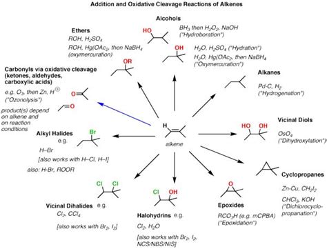 Synthesis (4) - Alkene Reaction Map, Including Alkyl Halide Reactions | Organic chemistry ...
