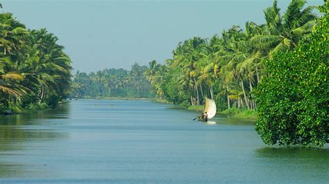 Kuttanad Backwaters of Kerala | Kerala Tourism