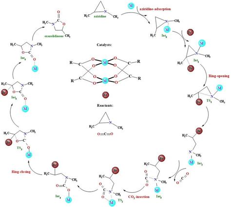 Proposed reaction mechanism for the formation of oxazolidinone from CO... | Download Scientific ...