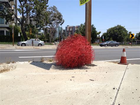 Pin on tumbleweed art