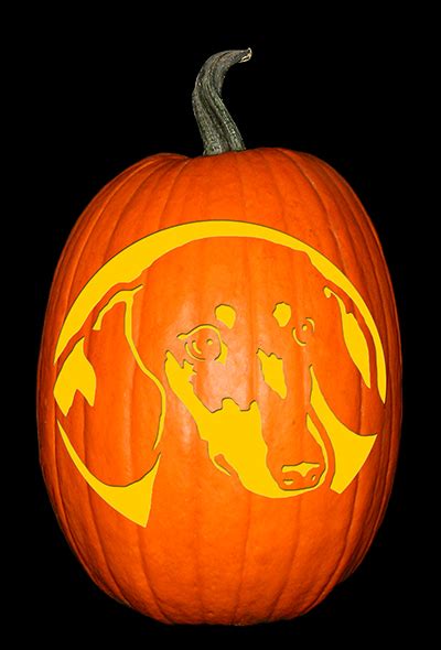 Dachshund – The Custom Punkin Stencil Company