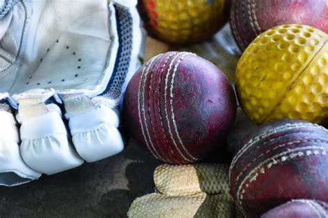 Cricket Bat And Ball Stock Photos, Images and Backgrounds for Free Download