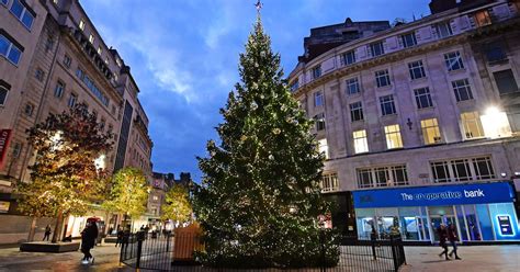 Where to dispose of your real Christmas tree in Liverpool - Liverpool Echo