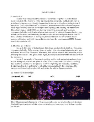 Cell Bio Lab #2 - Cell Bio lab 2 - Nicole Sosunova Cell Bio 303 Lab 10 March 2023 Introduction ...