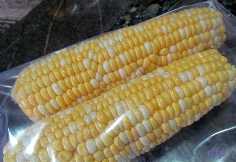 Corn on the Cob - Microwave Recipe | Receita