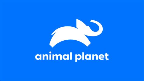 Animal Planet | Watch Full Episodes, Specials & More