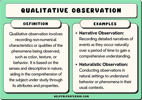 23 Qualitative Observation Examples (2024)