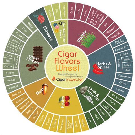 Cigar Flavors Wheel : Main Cigar Flavor Components @ Cigar Inspector