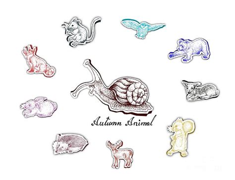 Hand Drawn of Autumn Animals with Paper Cut Art Drawing by Iam Nee ...