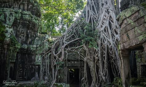 Ta Prohm Temple by LunaFeles on DeviantArt