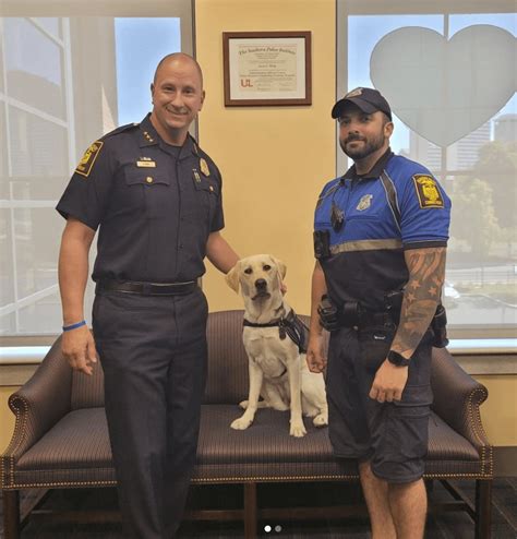 There’s a new dog at the Hartford Police Department, but she’s not for ...