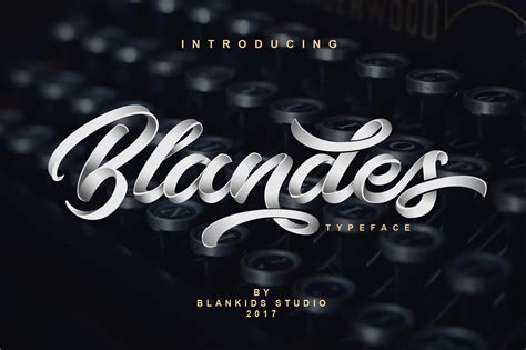 Blandes (38850) | Script | Font Bundles