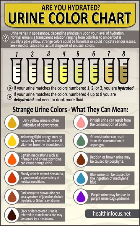 Color Of Urine And What It Means - umelan driggs