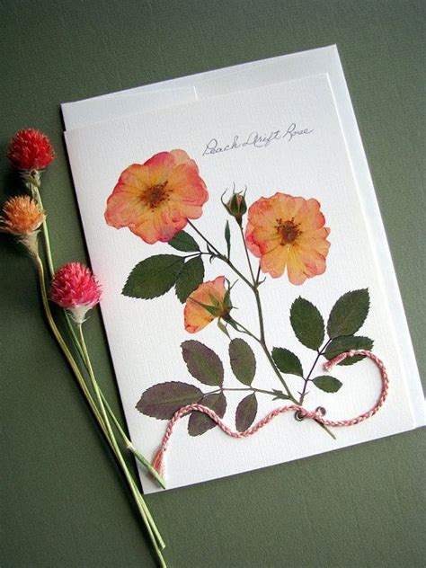 Pressing Flowers for Card Making - Card Making World