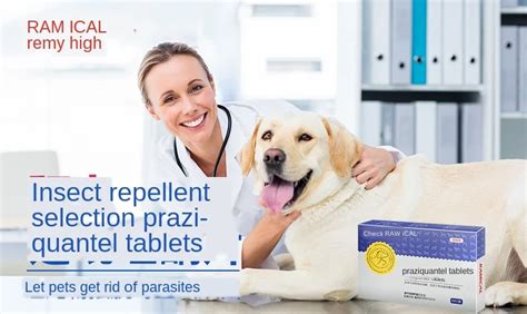 Ramical Praziquantel Tablets For Dogs - Tapeworm Roundworm ( Drontal )