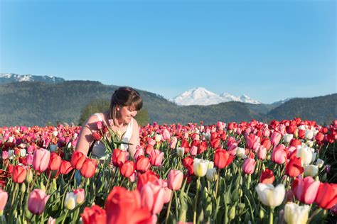 A BLOOMing Good Time: Abbotsford's Tulip Festival - Modern Agriculture ...