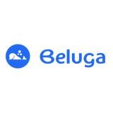 Belugaとは？価格・機能・使い方を解説｜ITトレンド