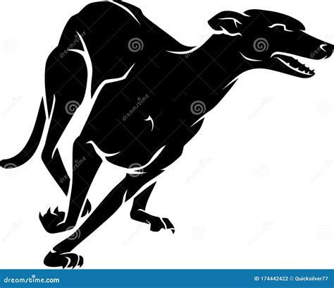 Fast Greyhound Dog, Silhouette Illustration Stock Vector - Illustration ...