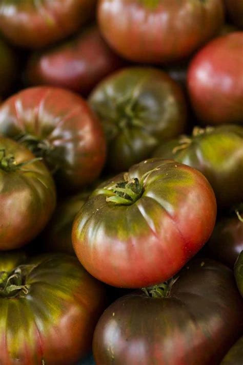 How to Grow ‘Cherokee Purple’ Tomatoes | Gardener’s Path