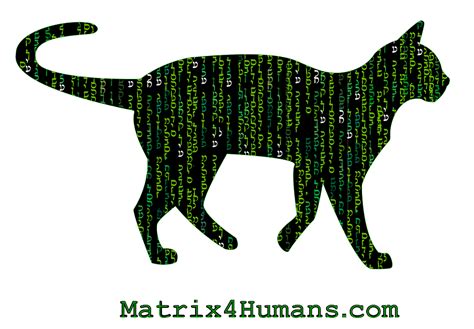 The Matrix: Time To Let the Déjà Vu Cat Out of the Bag - Matrix4Humans