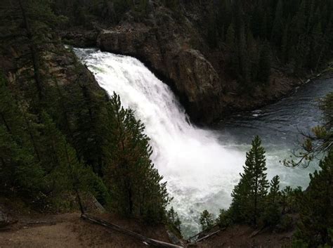 Upper Falls of Yellowstone River | Yellowstone national park, Yellowstone river, Yellowstone