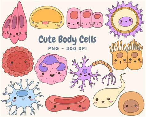 Cute Body Cells Clip Art Digital Download Biology Clip Art - Etsy