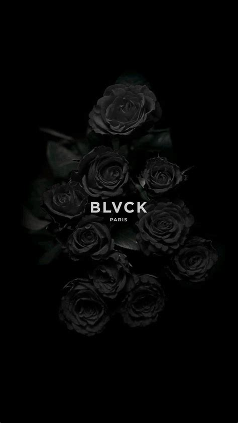 Aesthetic black roses HD phone wallpaper | Pxfuel