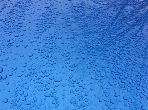 620+ Rain Drops On A Car Hood Stock Photos, Pictures & Royalty-Free ...