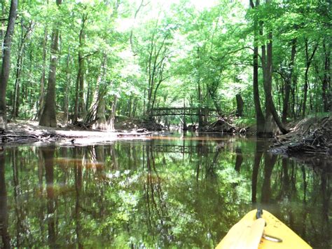 Congaree National Park reopened - WestMetroNews