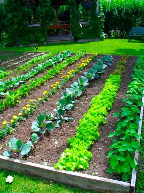 Vegetable Garden Tips in CT | Spring Vegetable Gardening | Winterberry Gardens