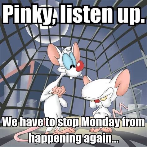 Monday - Pinky and the Brain | Monday Memes | Pinterest | Brain, Mondays and Humor