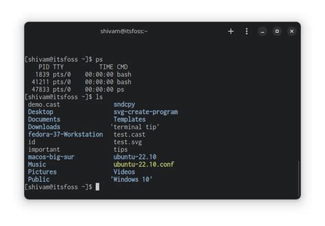 10 Best Fonts for Linux Terminal