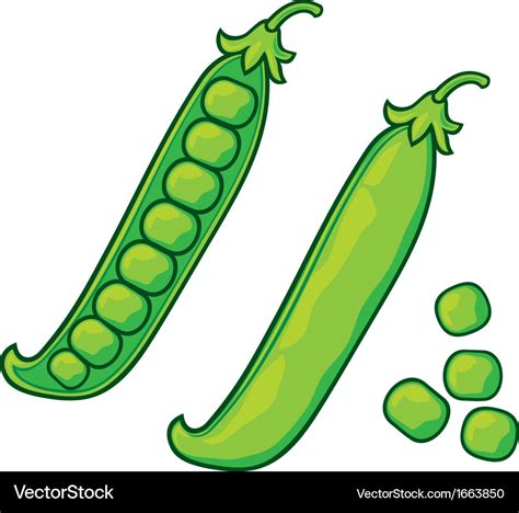 Green peas pea pod Royalty Free Vector Image - VectorStock