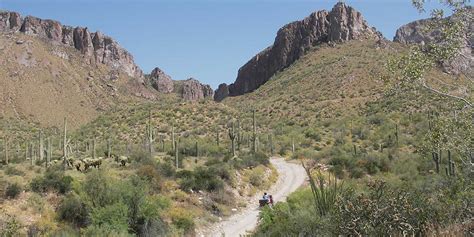 Walnut Canyon - FunTreks